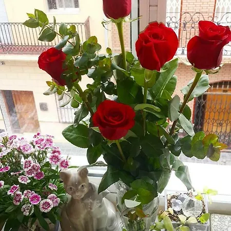 63 Carrer D'ernest Anastasio Homestay Valencia